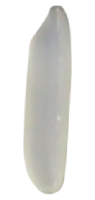 project-image